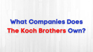 What Companies Does The Koch Brothers Own