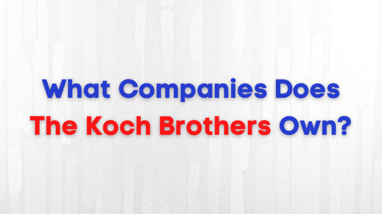 What Companies Does The Koch Brothers Own